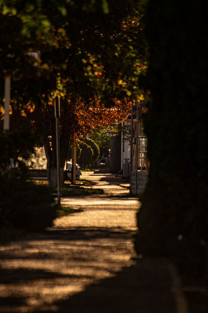 Photograph by Крупченко Роман