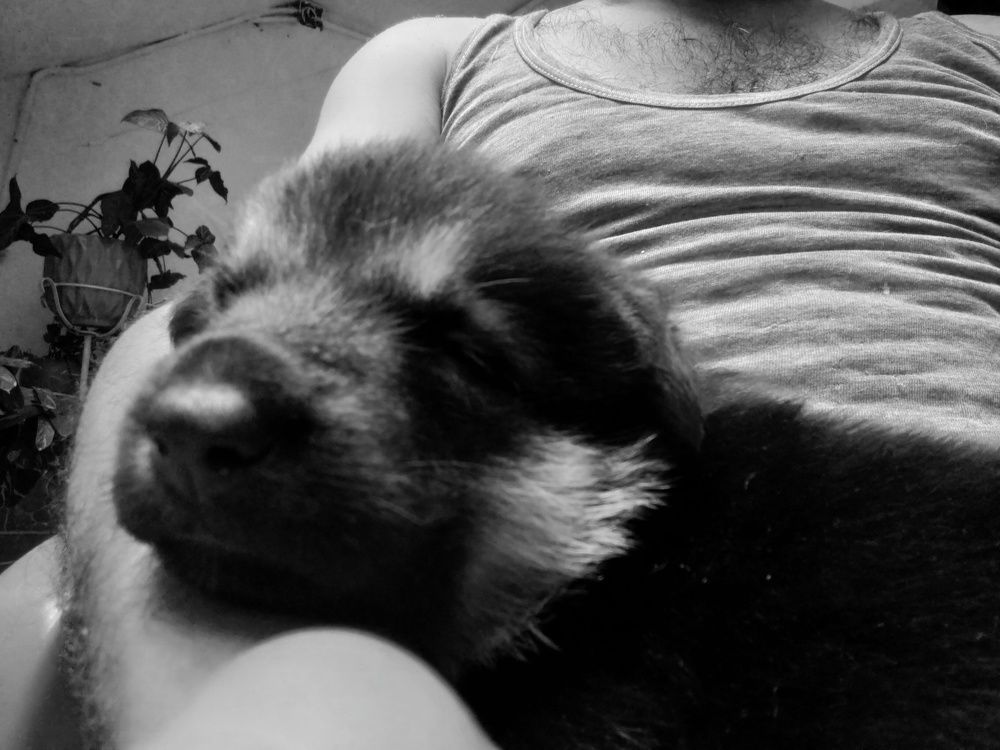 Photo #11067775