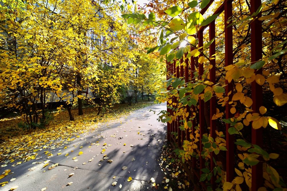 Photograph by Сергей Филин