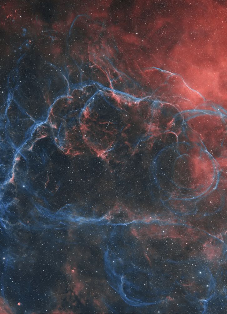 Фотография автора Алексей Лященко