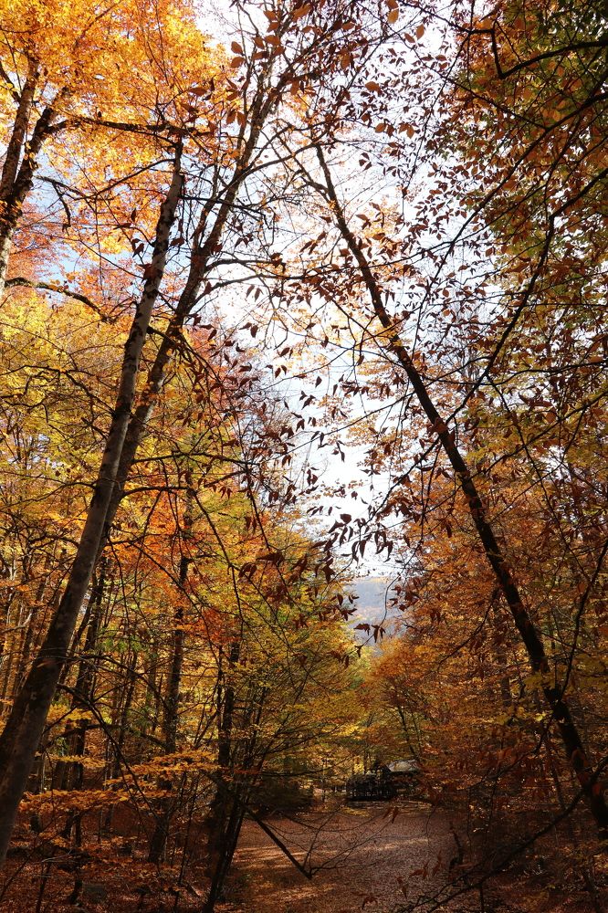 Photograph by Buket Demirel