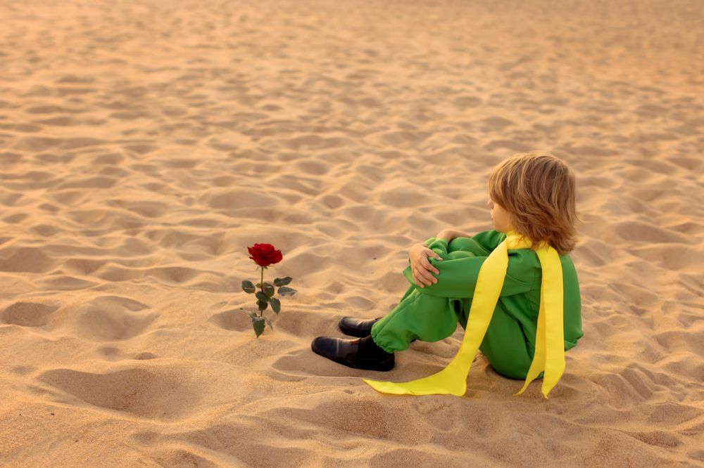 Маленький принц со своей Розой