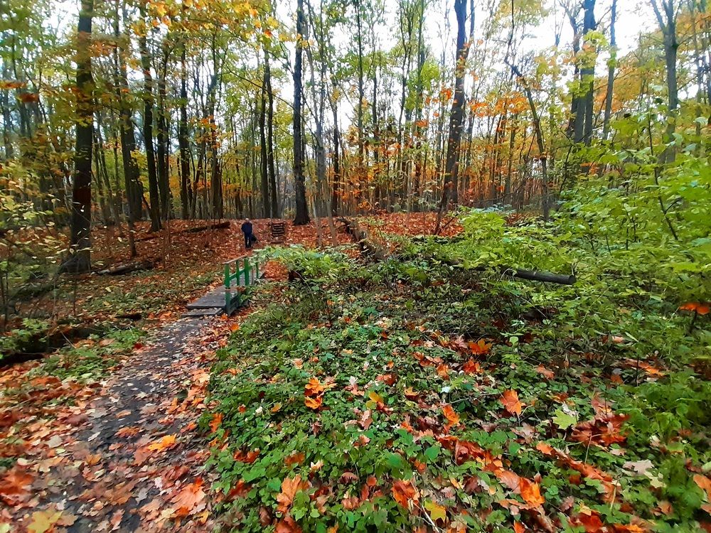 Photograph by Екатерина