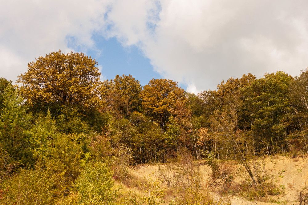 Photograph by Елена Казаренко