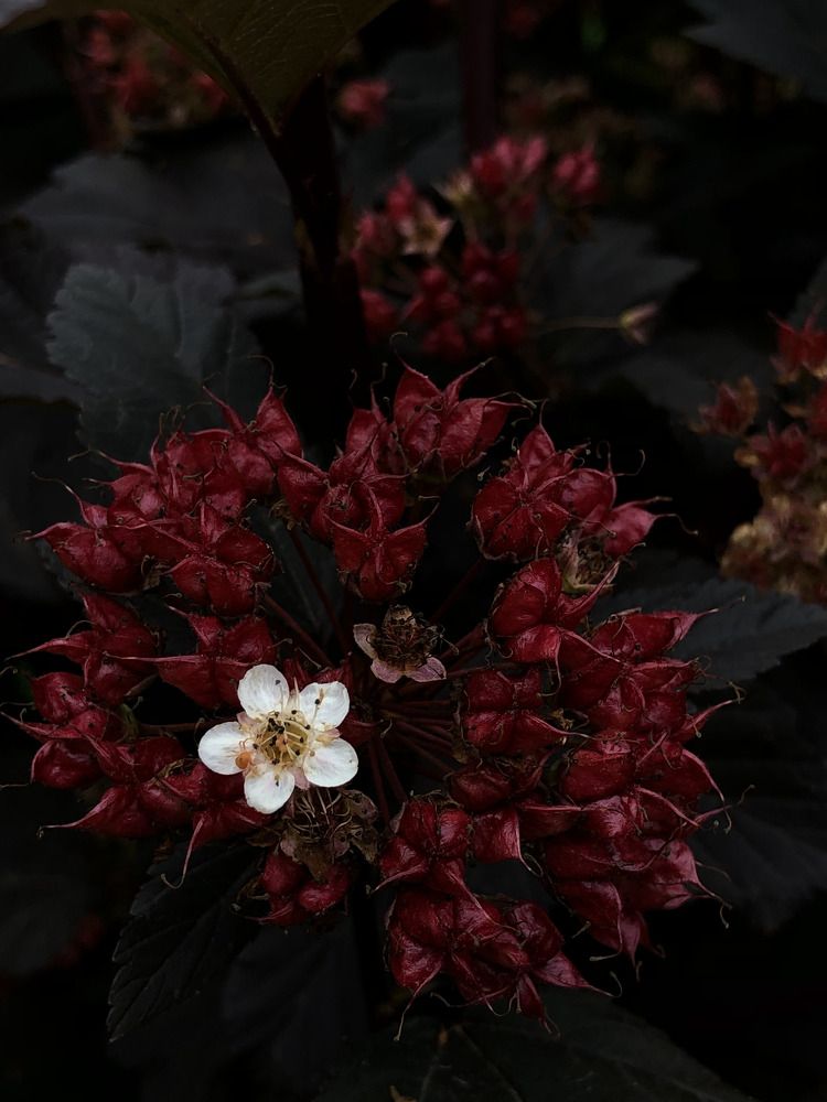 Photograph by Светлана Долганова