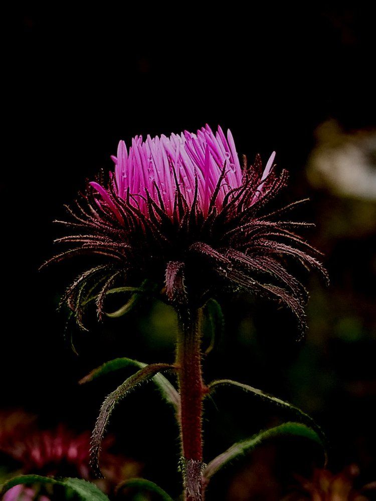 Photograph by Татьяна Солтан