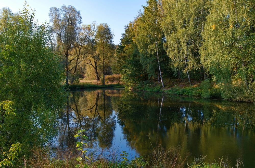 Photograph by Михаил Косолапов