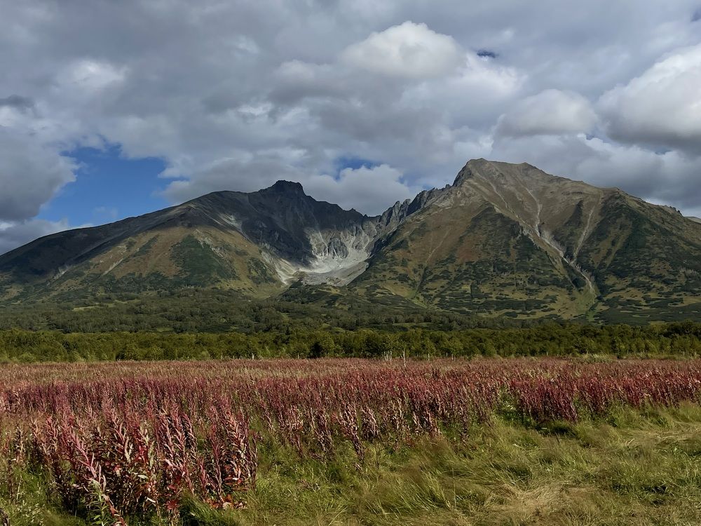 Photograph by Ольга Одаренко