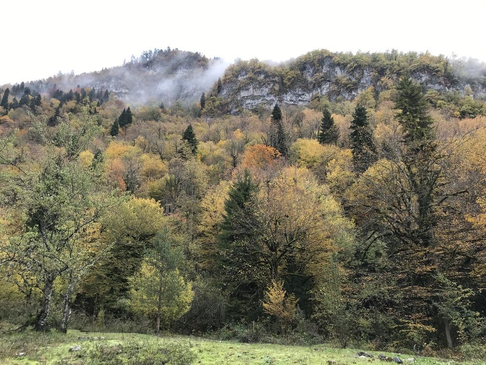 Photograph by Светлана Яковлева