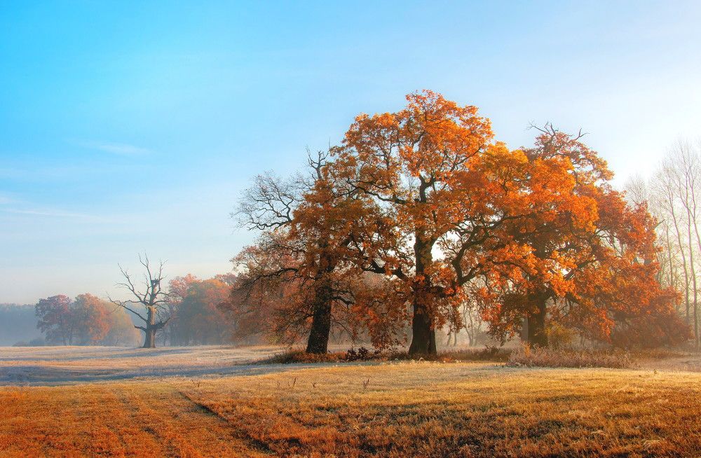 Photograph by Marian Skąpski