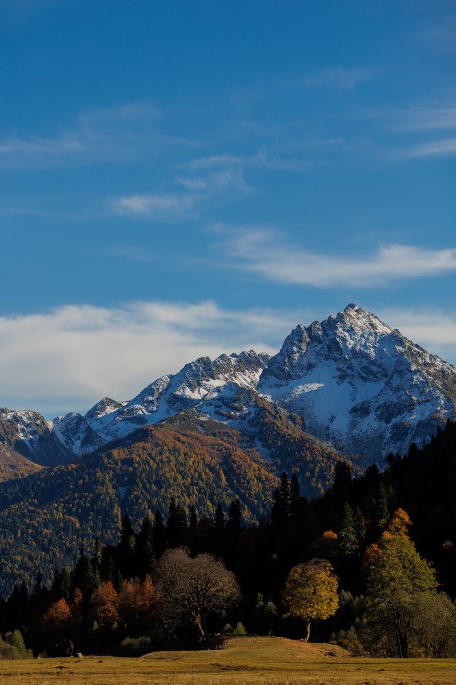 Фотография автора Fallen Angel