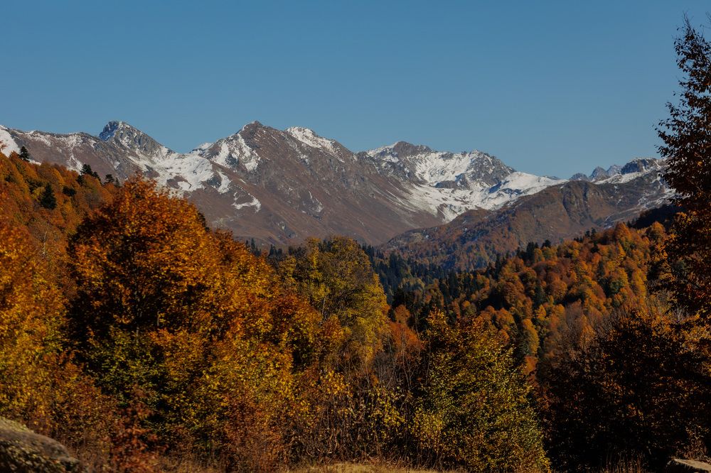 Фотография автора Fallen Angel