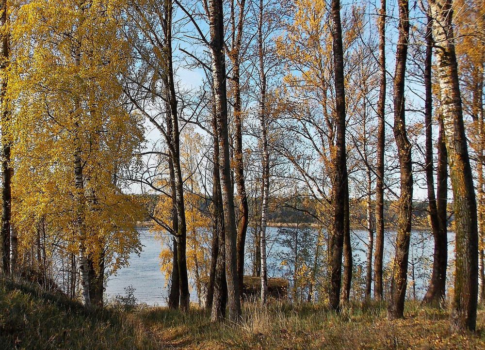 Фотография автора Вера,  Саша  Натан Фотогруппа ВЕСНА