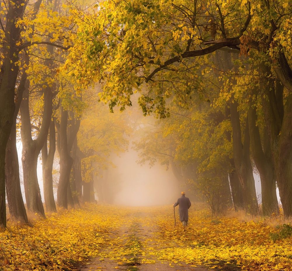 Photograph by Marian Skąpski