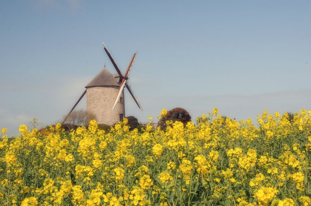 Photograph by Svetlana Rizzo