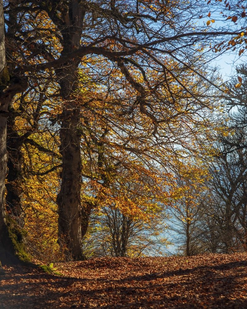 Photograph by Amir Naserkhani