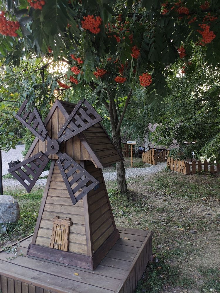 Photograph by Надежда