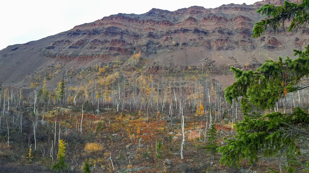 Осеннний вид у подножия горы Листвянка