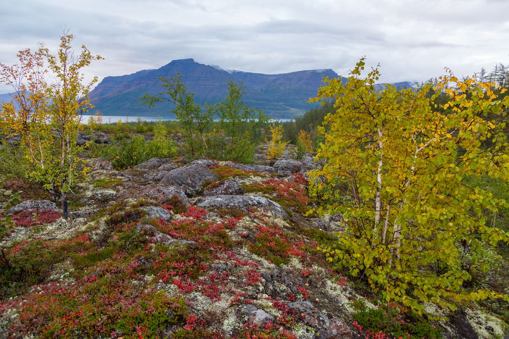Осень на Плато Путорана