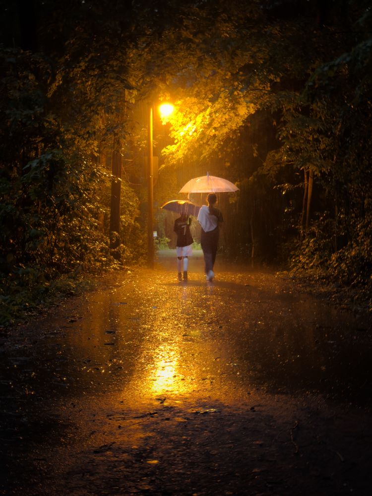 Photograph by Nidhi Bhatia