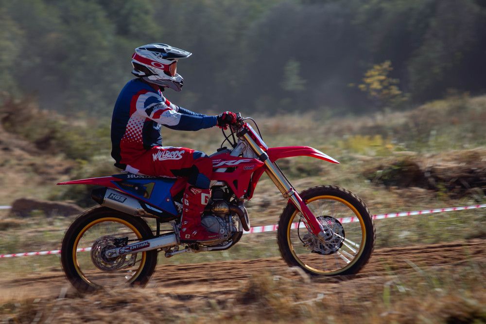 Фотография автора Алина Руденко