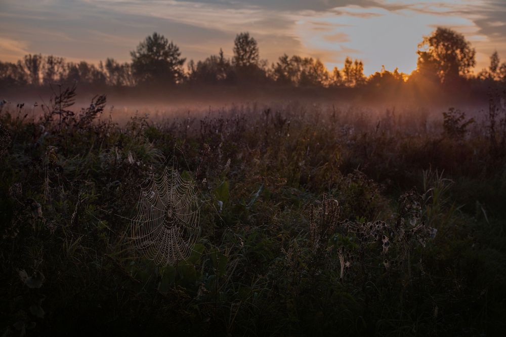 Photograph by Жулина Ирина