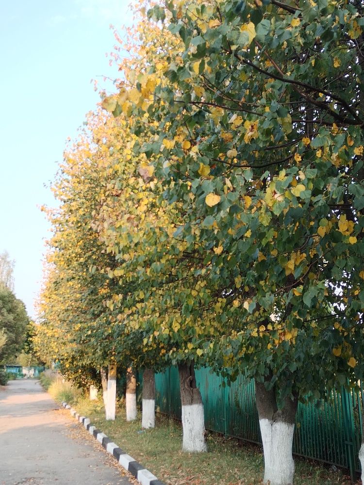 Photograph by Татьяна Краева