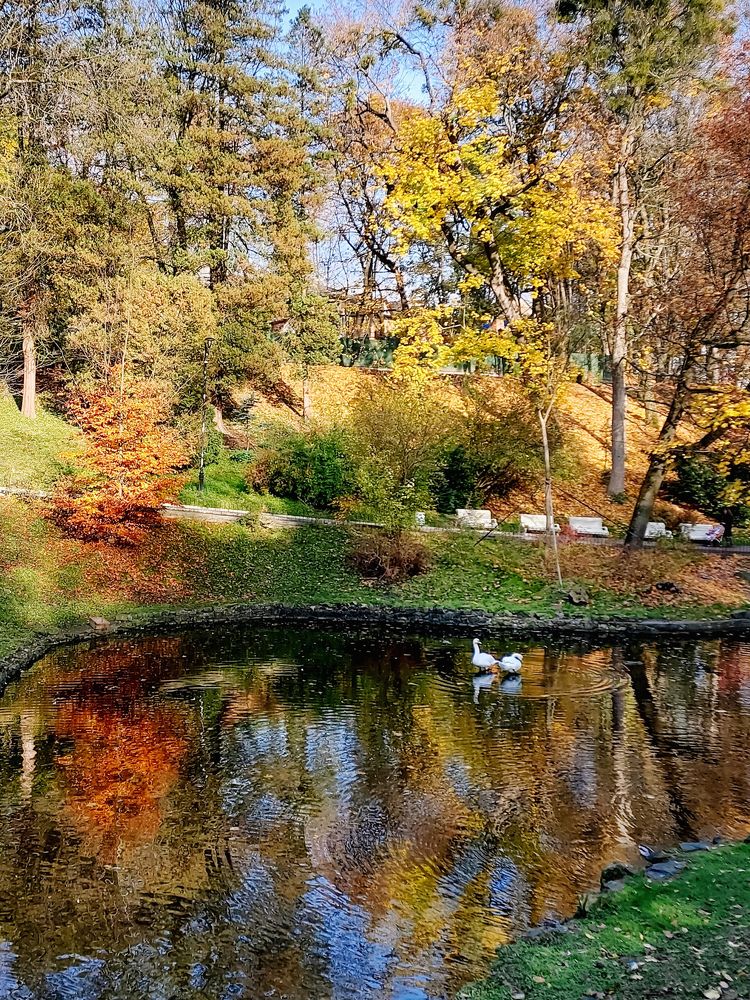 Photograph by Наталия Дроздова