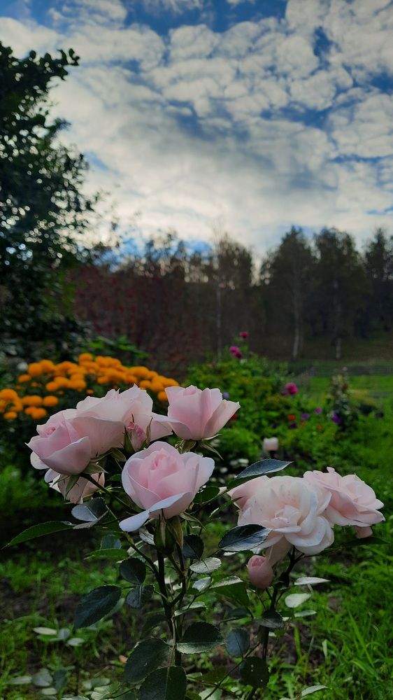 Photograph by Айгиза Мухамедьянова