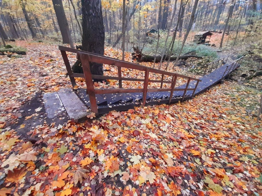 Photograph by Екатерина