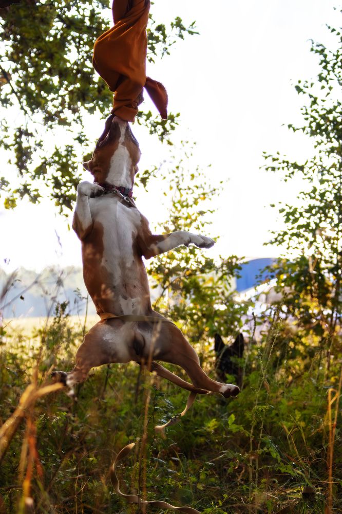 Photograph by Natalya Gracheva