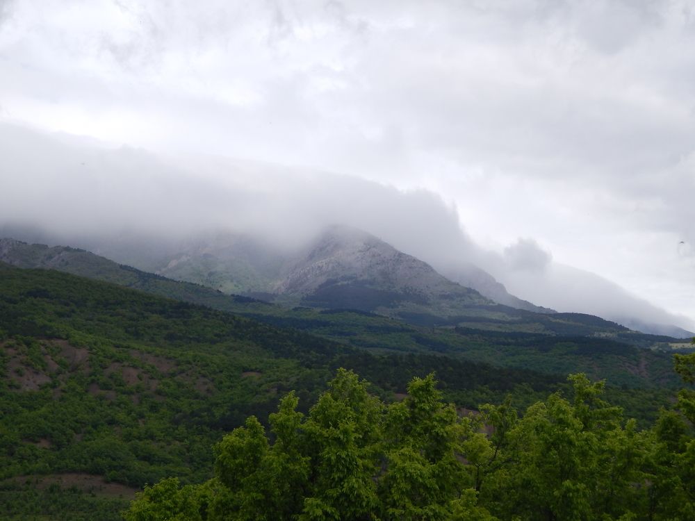 Photograph by Tanivsv