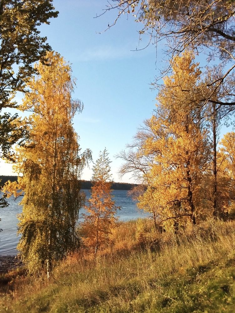 Фотография автора Вера,  Саша  Натан Фотогруппа ВЕСНА