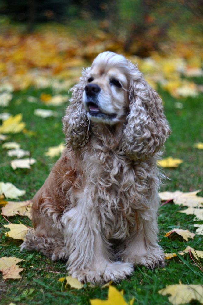 Photograph by Анна