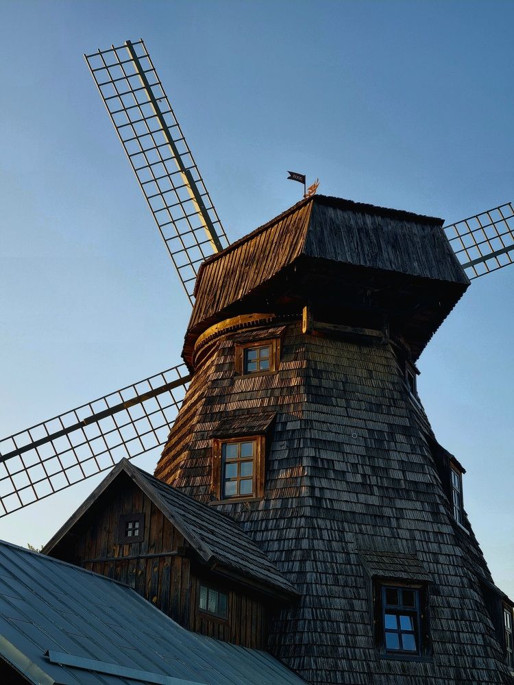 Photograph by Elena Tamošauskaite