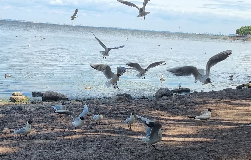 Фотография автора Наталья