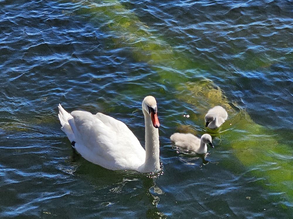 Photograph by Edmund Randal