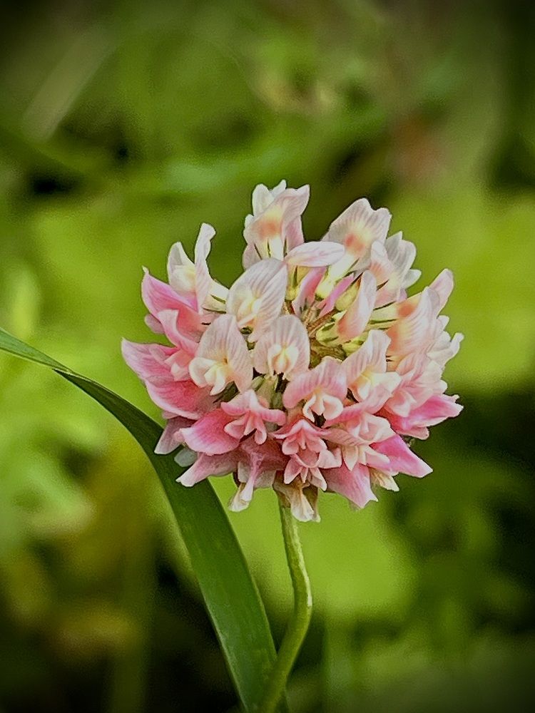 Photograph by Елена Громова
