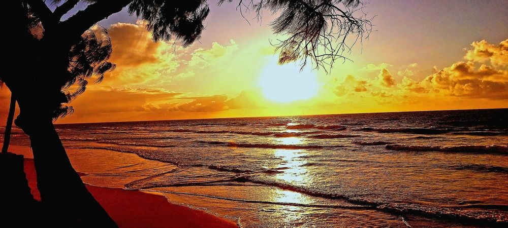 Photograph by CRINALDO REIS