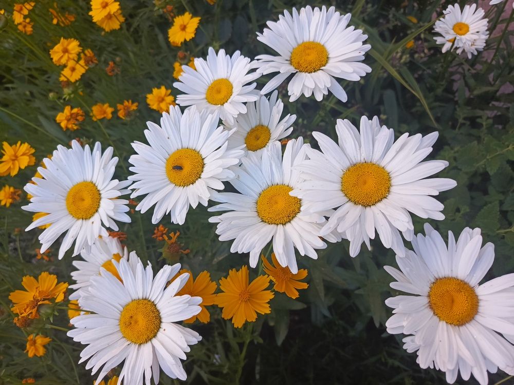 Photograph by Татьяна Пальчикова