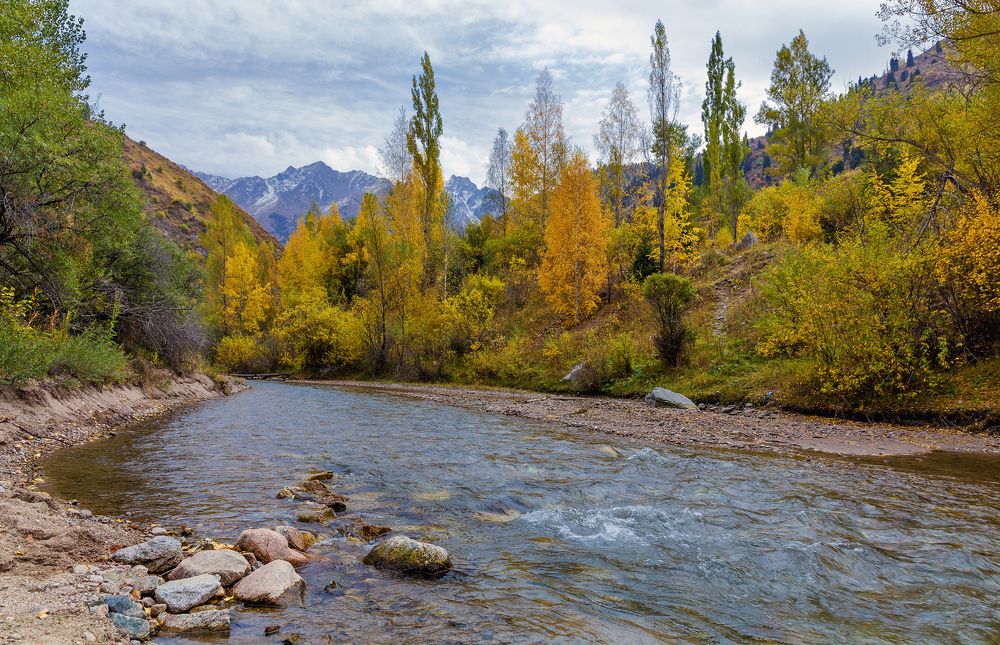 Photograph by Сергей