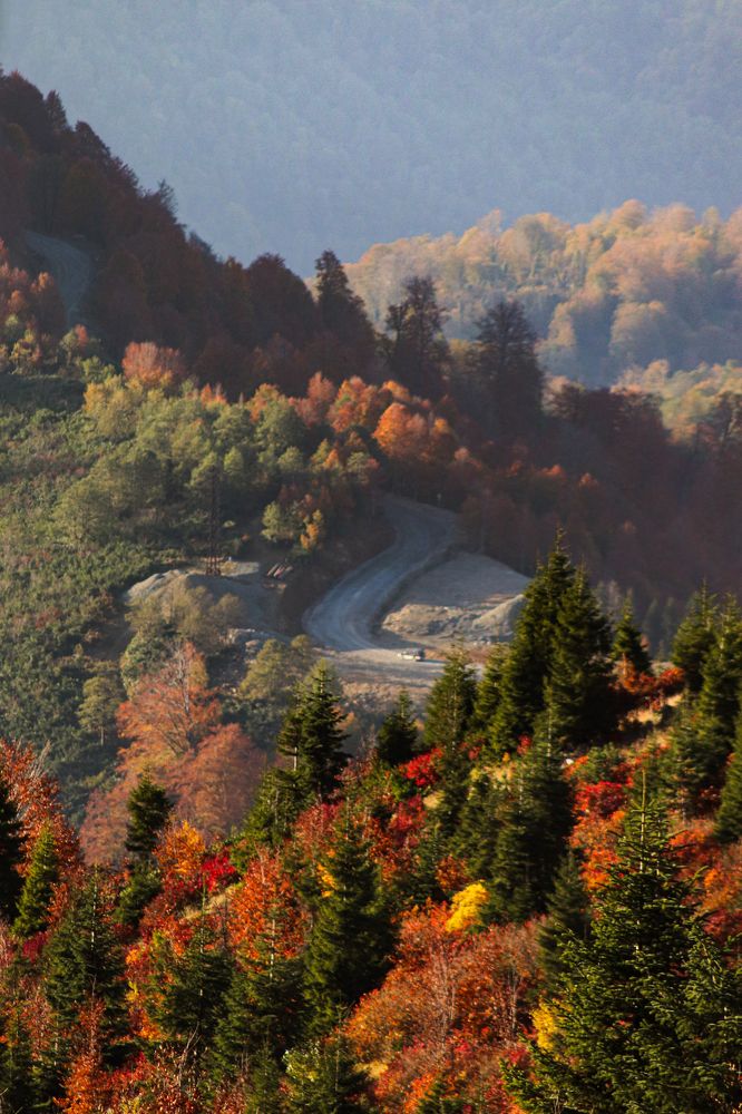 Photograph by Екатерина Нальгиева