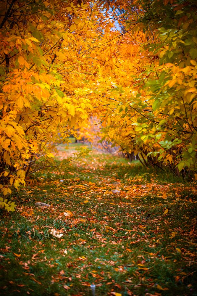 Photograph by Василика Кондратьева