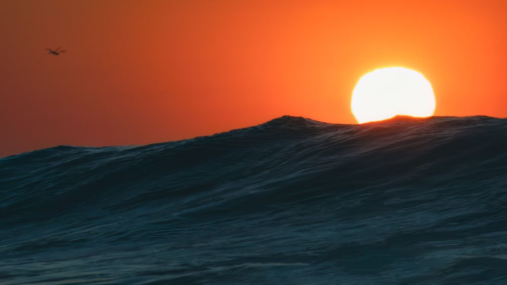 Фотография автора Hugo Marc