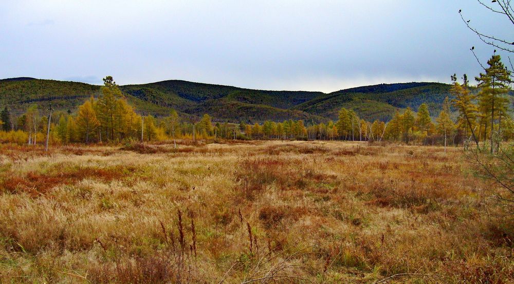 Фотография автора АЛЕКСАНДР ЦЫГЕЛЬНЮК