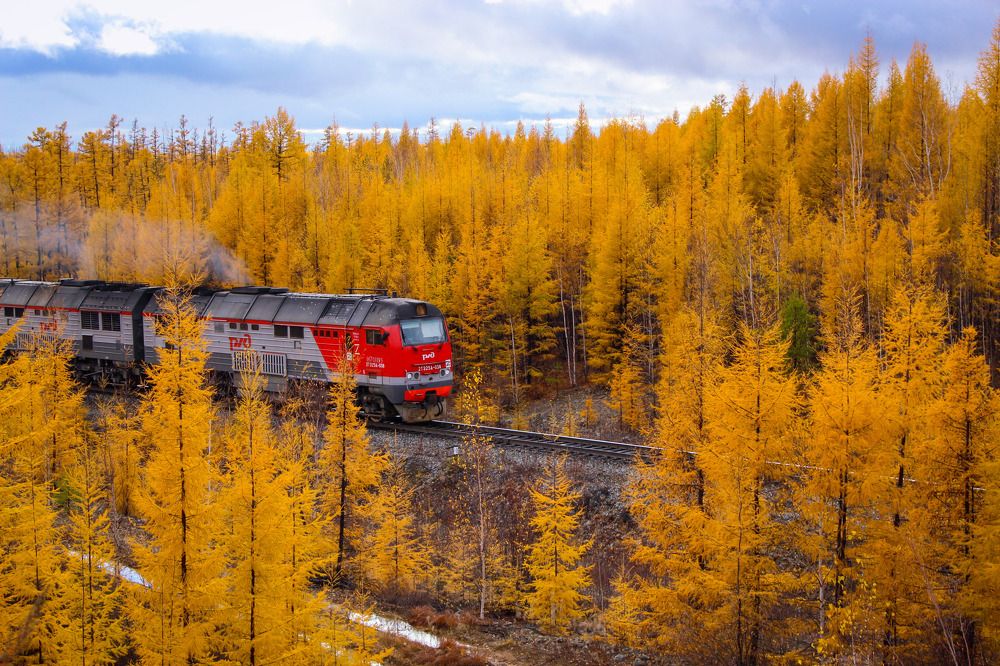 Photograph by Михаил Мархинин