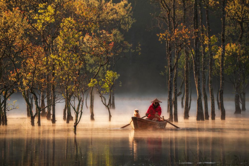 Photograph by Trieu Nguyen