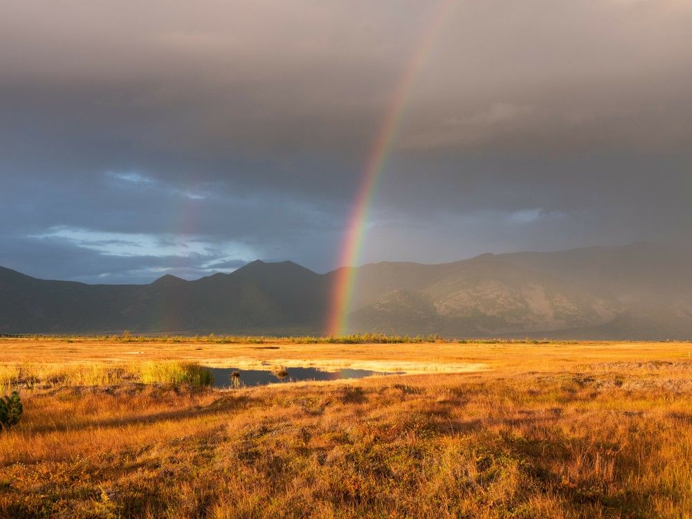 Photograph by Хазан Сергей