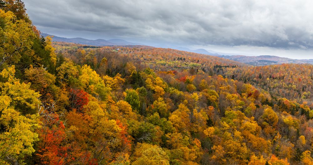 Photograph by JUAN SILVA