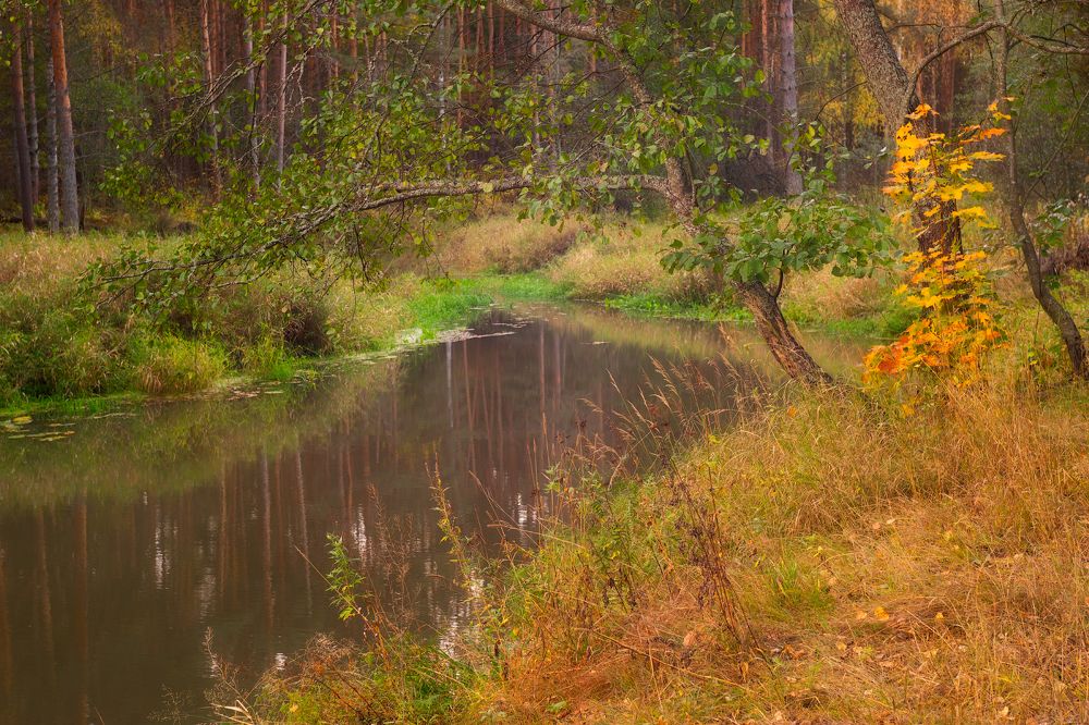 Photograph by Татьяна